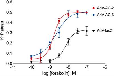 Quantitative phosphoproteomic analysis reveals unique cAMP signaling pools emanating from AC2 and AC6 in human airway smooth muscle cells